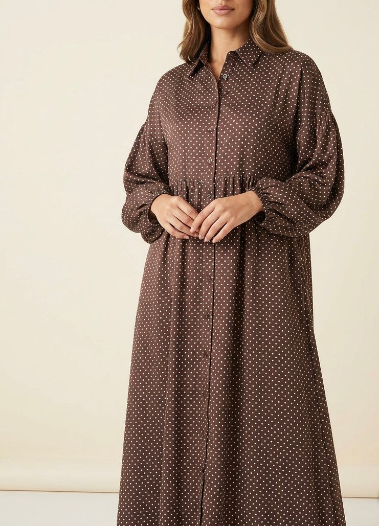 Polka Dot Shirt Dress